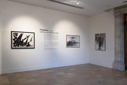 exposition Mario Prassinos, photographie Denis Vinçon 2022