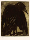Le Corbeau chinois, gravure, 1951
